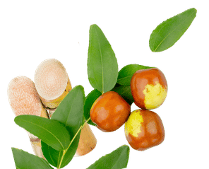 Esqualano e jojoba